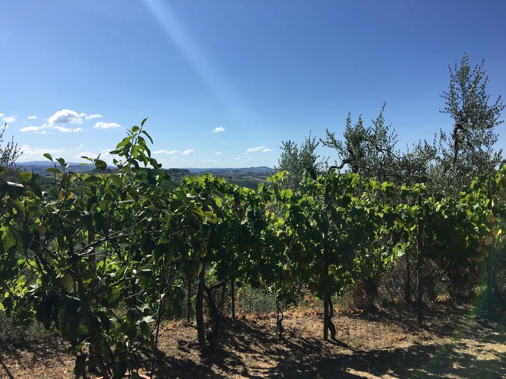 Podere Casanova Montespertoli Exterior foto